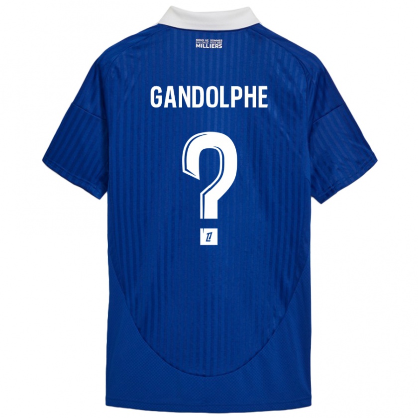 Kandiny Homme Maillot Adrien Gandolphe #0 Bleu Blanc Tenues Domicile 2024/25 T-Shirt