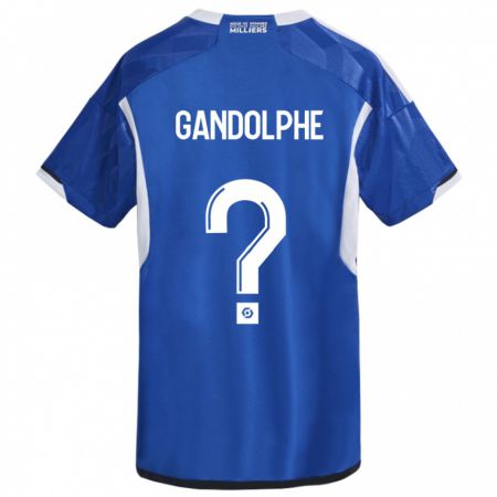 Kandiny Enfant Maillot Adrien Gandolphe #0 Bleu Tenues Domicile 2023/24 T-Shirt